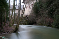 2009 - Tine De Conflens