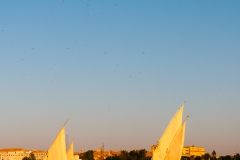 DSC_2693