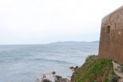 DSC_7956