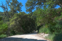 provence_HDR1