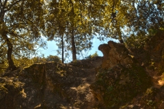 provence_HDR2