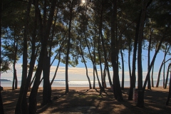 HDR5