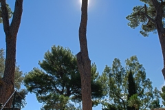 HDR7