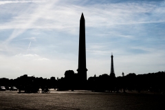 DSC_4943