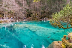 2018 - Blausee