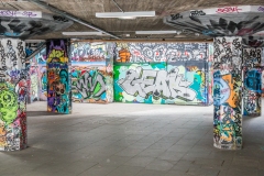 DSC_1710
