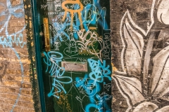 DSC_1876