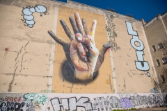 DSC_8491