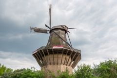DSC_9101