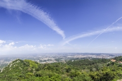 DSC_9460-9467