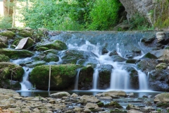 DSC_2898