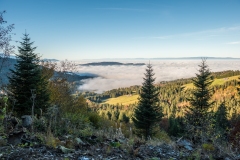 DSC_9406-HDR